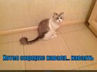 https://lolkot.ru/2015/05/19/skulptor/