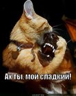 https://lolkot.ru/2012/08/14/sladkiy/