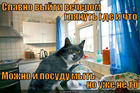https://lolkot.ru/2011/12/09/slavno-vyyti-vecherom/