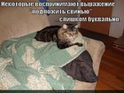 https://lolkot.ru/2010/12/05/slishkom-bukvalno/