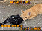 https://lolkot.ru/2012/11/14/slivki-s-moloka/