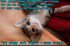 https://lolkot.ru/2015/10/22/slivkovdohnoveniye/