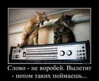 https://lolkot.ru/2013/02/20/slovo-ne-vorobey/