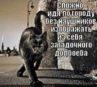 https://lolkot.ru/2012/06/15/slozhno/