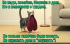 https://lolkot.ru/2014/07/29/sluzhit-by-rad-prisluzhivatsya-toshno-s/