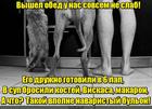 https://lolkot.ru/2016/04/26/smak-2/