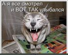 https://lolkot.ru/2010/08/05/smotrel-i-ulybalsya/