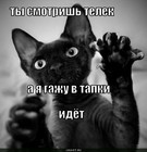 https://lolkot.ru/2010/06/10/smotret-telik-byvayet-vredno/