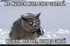 https://lolkot.ru/2011/02/23/sneg-zimoy/