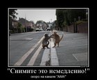 https://lolkot.ru/2011/11/25/snimite-eto-nemedlenno-2/