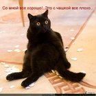 https://lolkot.ru/2012/06/17/so-mnoyu-vse-horosho/