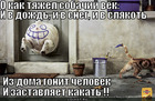 https://lolkot.ru/2012/06/01/sobachiy-vek/