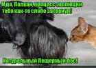 https://lolkot.ru/2016/06/15/sobakokromanonets/