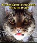 https://lolkot.ru/2012/11/20/sobratsya-s-myslyami-2/