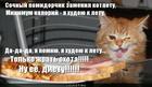 https://lolkot.ru/2011/08/04/sochnyy-pomidorchik/
