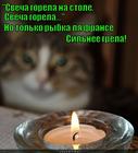 https://lolkot.ru/2015/07/14/sogrevayuschiy-effekt/