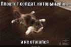 https://lolkot.ru/2012/06/07/soldat/