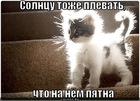 https://lolkot.ru/2011/12/01/solntsu-plevat/