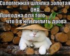 https://lolkot.ru/2012/08/23/solomennaya-shlyapka/