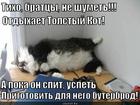 https://lolkot.ru/2013/10/27/son-uryvkami-buterbrody-s-gifkami/