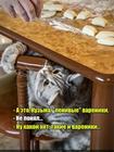 https://lolkot.ru/2024/06/28/sorazmernoye-pitaniye/
