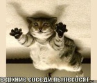 https://lolkot.ru/2011/01/14/sosedi-pylesosyat/