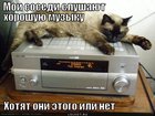 https://lolkot.ru/2012/03/30/sosedi-slushayut-muzyku/