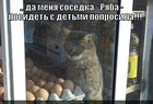 https://lolkot.ru/2011/03/06/sosedka-ryaba/