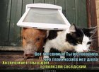 https://lolkot.ru/2011/11/07/sosedskiy-dom/