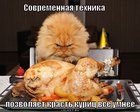 https://lolkot.ru/2011/06/08/sovremennaya-tehnika/