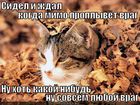 https://lolkot.ru/2012/01/20/sovsem-lyuboy-vrag/