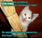 https://lolkot.ru/2015/06/03/soyuz-vymetateley/