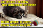 https://lolkot.ru/2016/04/05/sozertsatel/