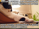 https://lolkot.ru/2012/06/07/sozrel-dlya-otnosheniy/