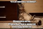 https://lolkot.ru/2023/04/03/spasatelnyye-otnosheniya/