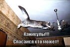 https://lolkot.ru/2012/01/08/spasaysya-kto-mozhet/