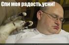 https://lolkot.ru/2012/11/10/spi-moya-radost-usni/
