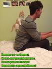 https://lolkot.ru/2016/06/26/spinokvest/