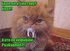 https://lolkot.ru/2015/12/18/sploshnoy-obman/
