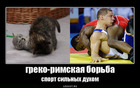 https://lolkot.ru/2010/01/10/sport-silnyh-duhom/