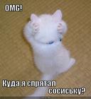 https://lolkot.ru/2010/01/31/spryatal-2/