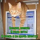 https://lolkot.ru/2015/06/05/sravnyalsya-s-zhki-monikom-tolschinoy/
