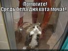 https://lolkot.ru/2012/09/14/sred-bela-dnya-2/