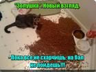 https://lolkot.ru/2016/05/23/staraya-skazka-na-novyy-lad/