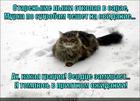 https://lolkot.ru/2013/12/26/starenkiye-lyzhi/
