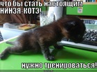 https://lolkot.ru/2010/08/29/stat-nastoyaschim-ninzya/