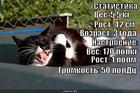https://lolkot.ru/2011/05/24/statistika/