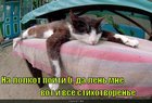 https://lolkot.ru/2011/03/16/stihotvorene/