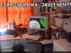 https://lolkot.ru/2011/03/19/stol-zavalen/
