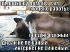 https://lolkot.ru/2013/01/28/stolko-del-stolko-del/